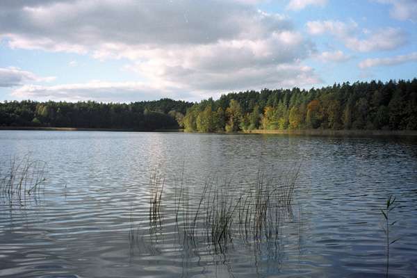 2007Schulzensee001Ak