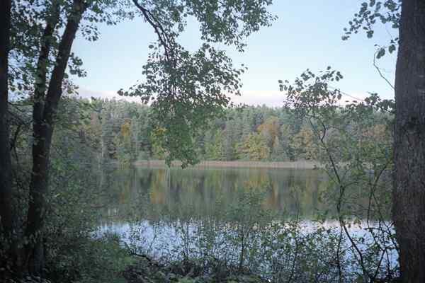 2007Schulzensee012Ak