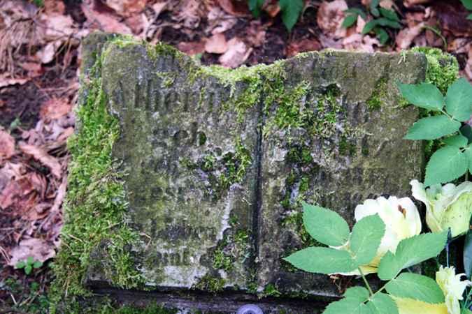 20110520LucknitzAlterFriedhof03