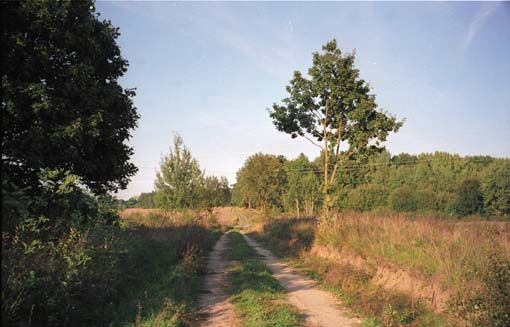 Brockenziensee019Ak.jpg