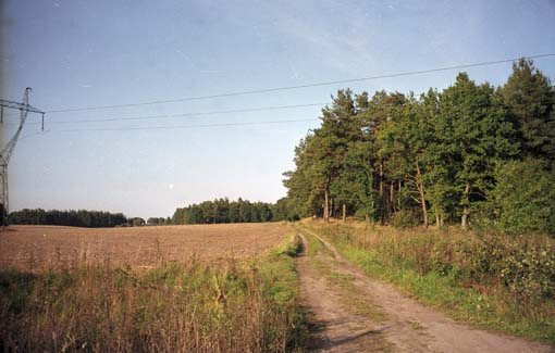 Brockenziensee020Ak.jpg